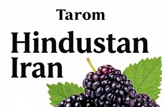 بنر تبلیغاتی در زمینه شاه توت طارم