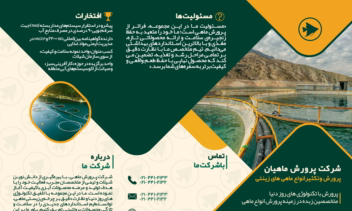طراحی بروشور تخصصی و مدرن شرکت «پرورش ماهیان» (Trifold Design)