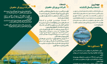 طراحی بروشور تخصصی و مدرن شرکت «پرورش ماهیان» (Trifold Design)