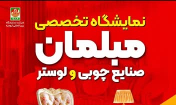 نمونه طراحی لوگو شرکتی و فروشگاهی
