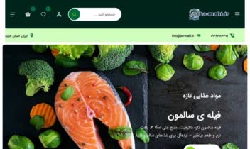 نمونه طراحی سایت پزشکی، فروشگاهی و وبلاگی