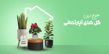 نمونه بنر سایت برای سایت فروش گل‌های آپارتمانی