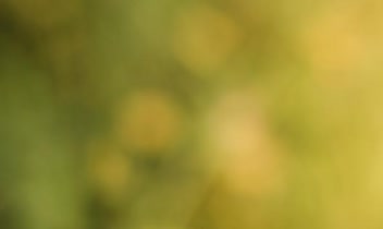 ترکیبی از عکاسی هنری، طبیعت و معماری