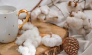پروژه عکاسی از شیرینی های خانگی