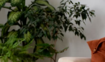 پروژه عکاسی از محصولات چوبی چوب سمن