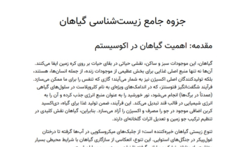 تایپ دست نویس جزوه زیست شناسی.