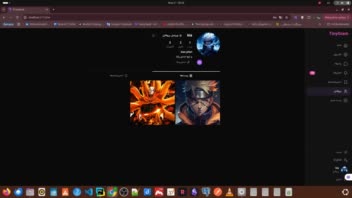 TinyInstagram؛ یک اپلیکیشن شبکه اجتماعی  الهام‌گرفته از اینستاگرام.
