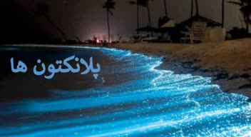 پاور پوینت ترنزیشن مورف power point