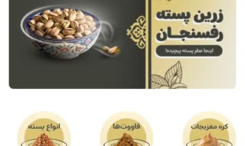 نمونه کار طراحی وب سایت فروشگاهی، زرین پسته رفسنجان