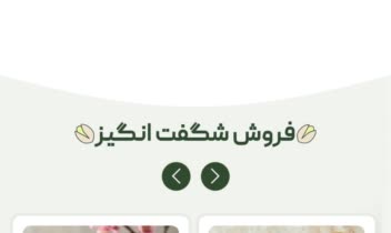 نمونه کار طراحی وب سایت فروشگاهی، زرین پسته رفسنجان