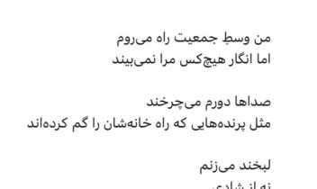 شاعرانگی برای موضوع “ گم‌شده در جمع”