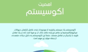 نمونه طراحی اینفوگرافی حرفه ای تیم ما