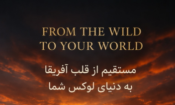 طراحی و اجرای کمپین فروش و تبلیغات چرم کروکودیل طبیعی آفریقایی برای شبکه‌های اجتماعی
