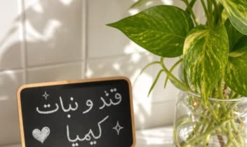 تولید محتوا، عکاسی حرفه ای محصول