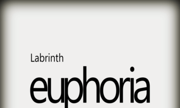 کاور موسیقی ،برای آهنگ euphoria