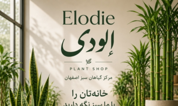 طراحی بنر و پوستر حرفه ای با AI