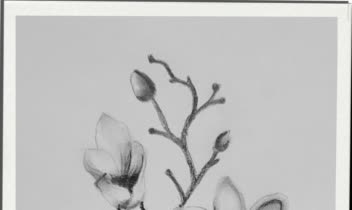 طراحی سیاه قلم با مدادهای گرافیتی