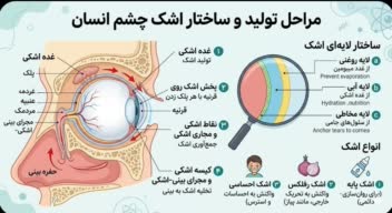 طراحی یک تصویر اینفو گرافیک حرفه ای