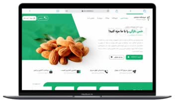 طراحی سایت  فروشگاهی فروش پسته و خشکبار