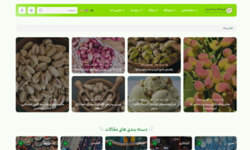 نمونه سایت فروشگاه اینترنتی پسته ایرانی