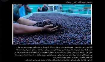 محتوا وب‌سایت. عنوان محتوا: بهترین قهوه‌های دنیا