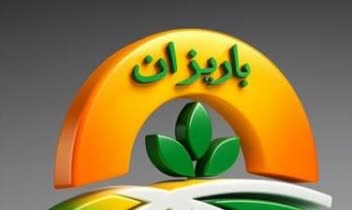 طراحی  لوگو  شرکت و همراه با ست اداری