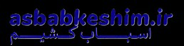 سایت اسباب کشی  (طراحی +سئو لوکال)