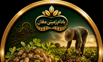 طراحی کاور هایلایت اینستاگرام برند بادام زمینی مغان