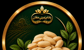 طراحی کاور هایلایت اینستاگرام برند بادام زمینی مغان