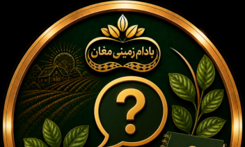 طراحی کاور هایلایت اینستاگرام برند بادام زمینی مغان