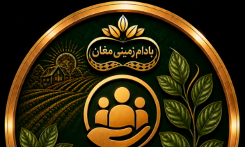 طراحی کاور هایلایت اینستاگرام برند بادام زمینی مغان