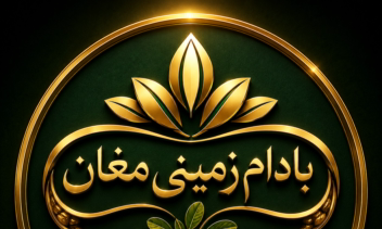 طراحی لوگو و هویت بصری برند بادام زمینی