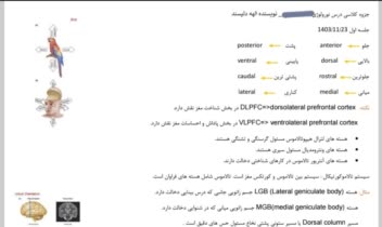 خاصه نویسی و تایپ جزوه دانشگاهی