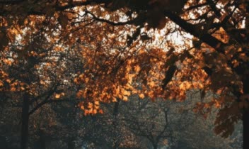 مونولوگ برای پادکست  با موضوع : ( چرا هیچکس هیچی به من نگفت ؟ )