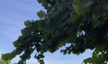 نمونه کار ترجمه متون عمومی، فناوری و کسب‌وکار از انگلیسی به فارسی و بالعکس با رعایت لحن طبیعی، انتقال دقیق مفهوم و ساختار حرفه‌ای متن