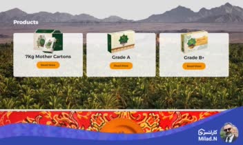 طراحی وبسایت انگلیسی زبان jiswan.com - وبسایت شرکتی با رویکرد معرفی محصولات و خدمات