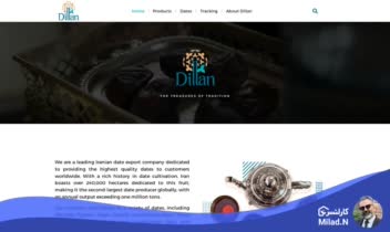 طراحی وبسایت انگلیسی زبان Dillanco.com - وبسایت شرکتی با رویکرد معرفی محصولات و خدمات