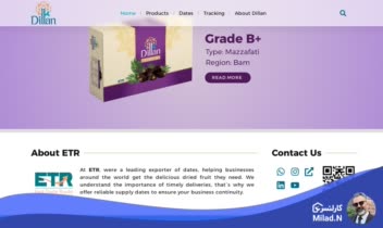 طراحی وبسایت انگلیسی زبان Dillanco.com - وبسایت شرکتی با رویکرد معرفی محصولات و خدمات