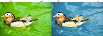 روتوش و ادیت عکس  که با تواناییهای فتوشاپ تهیه شده