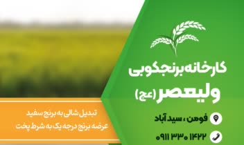 طراحی کارت ویزیت دورو (Business Card) کارخانه برنج‌کوبی ولیعصر (عج)