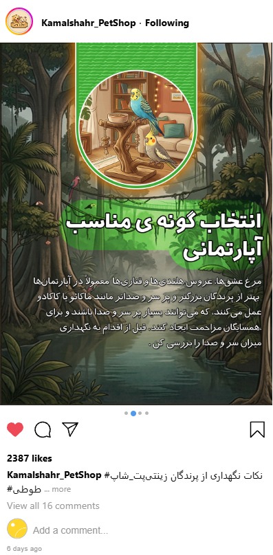 طراحی پست اسلایدی و کاور پست اینستاگرام