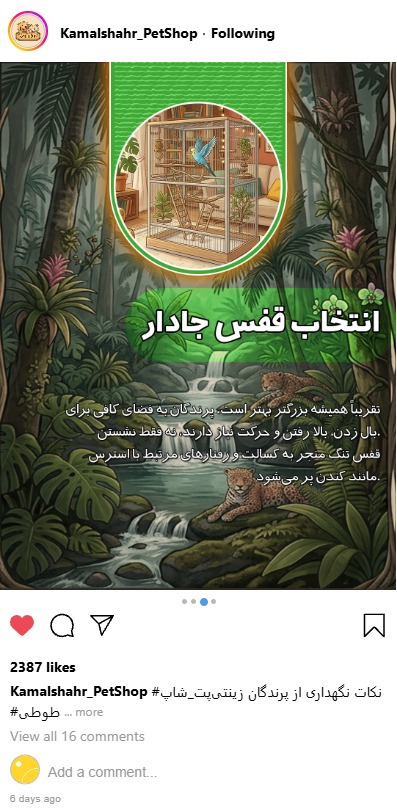 طراحی پست اسلایدی و کاور پست اینستاگرام