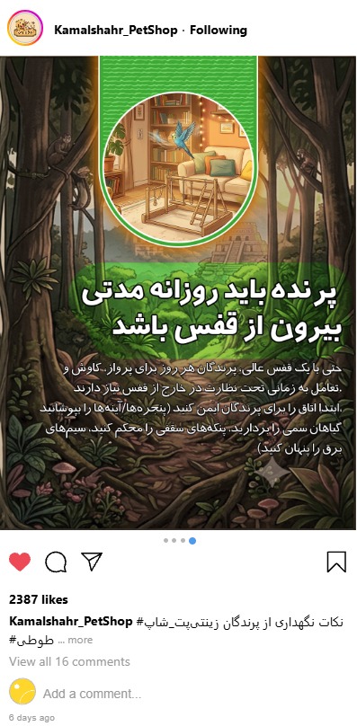 طراحی پست اسلایدی و کاور پست اینستاگرام