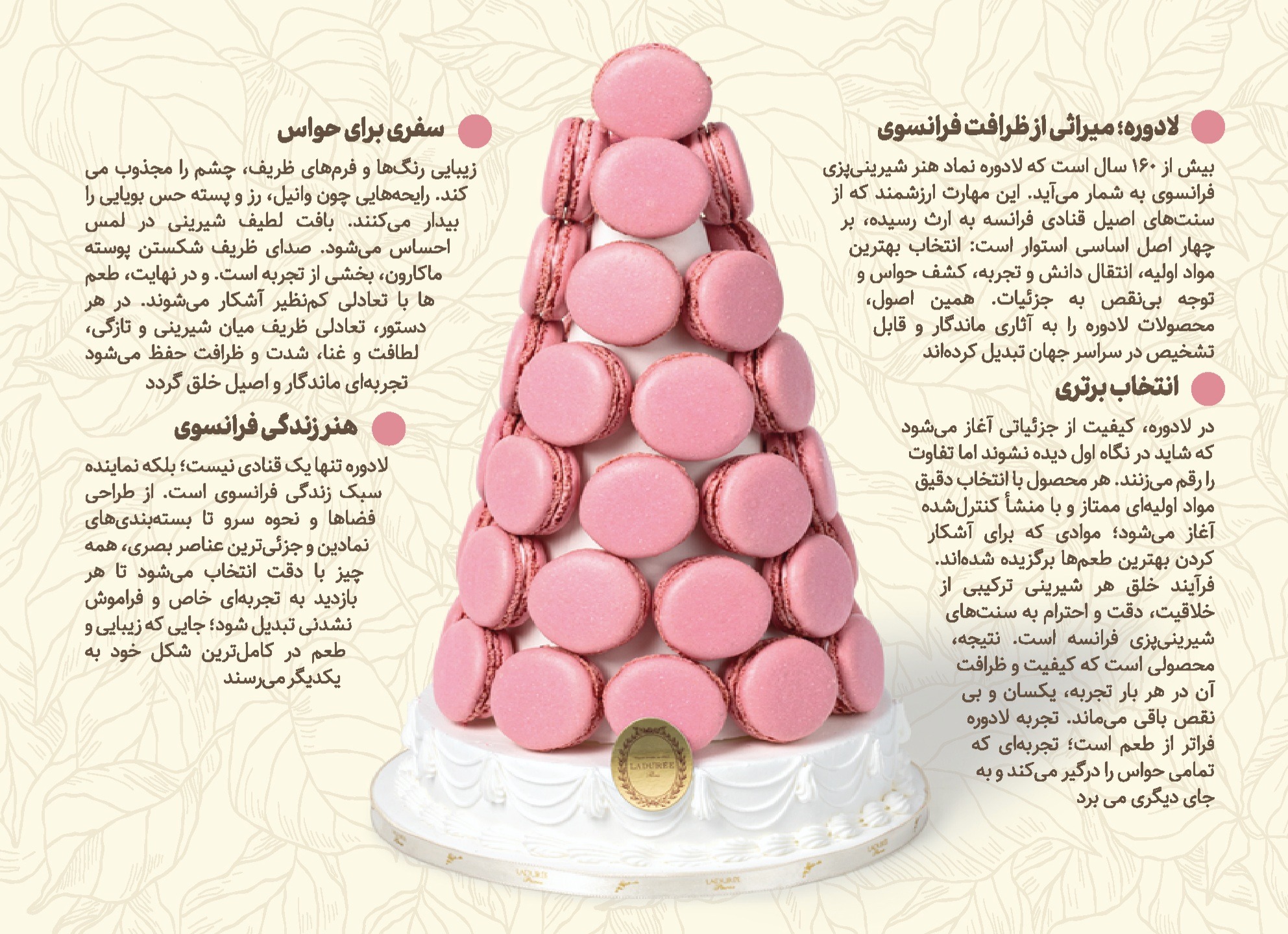طراحی کاتالوگ معرفی محصولات برند