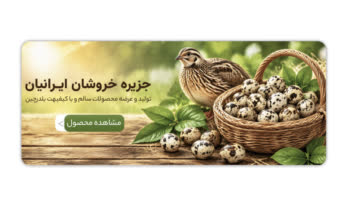 طراحی بنر تبلیغاتی سایت برای برند محصولات تخم بلدرچین