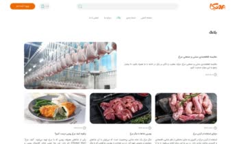 طراحی و توسعه فروشگاه اینترنتی پروتیکا