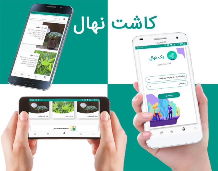 کاشت نهال (یک نهال)