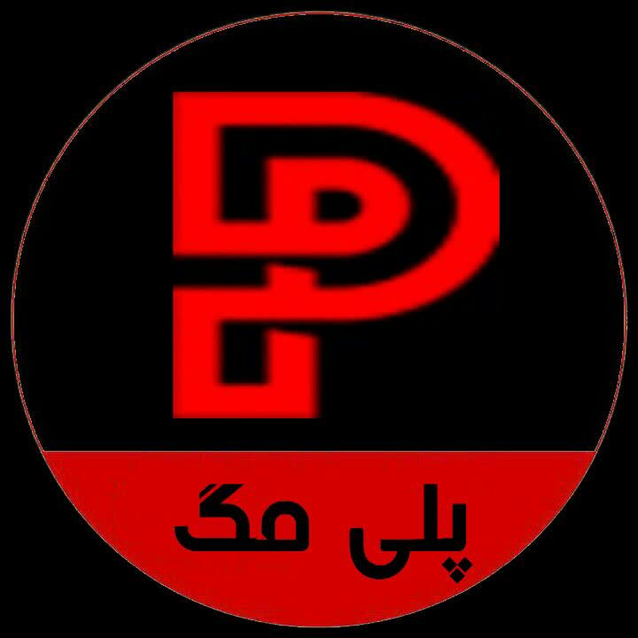 وبسایت پلی مگ