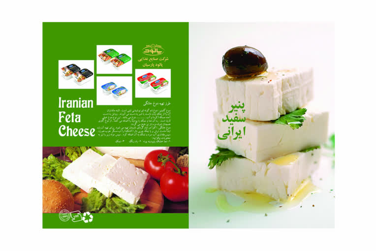 طراحی صفحات کاتالوگ