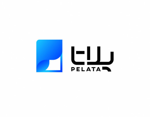 نمونه کار